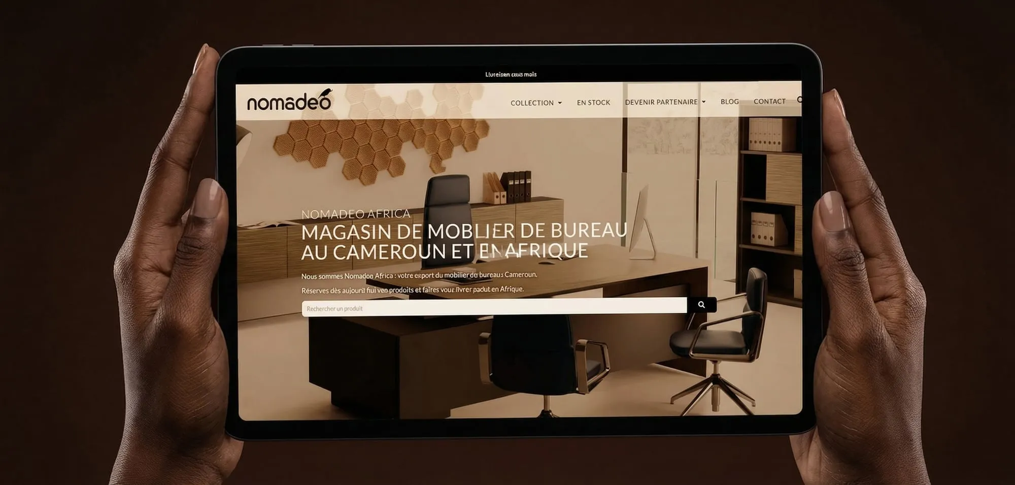 Preview of the Nomadéo Africa project