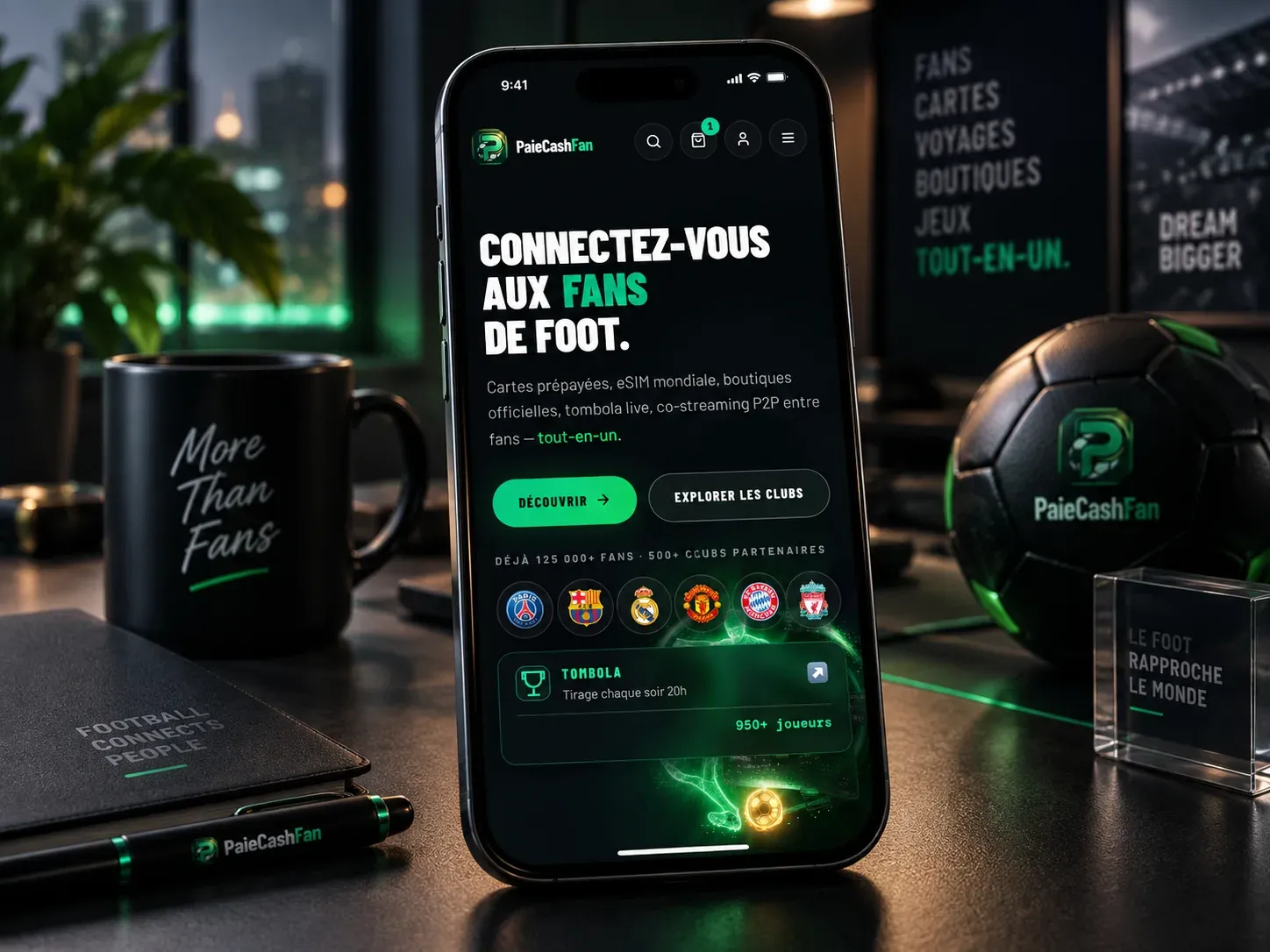 Aperçu du projet PaieCashFan