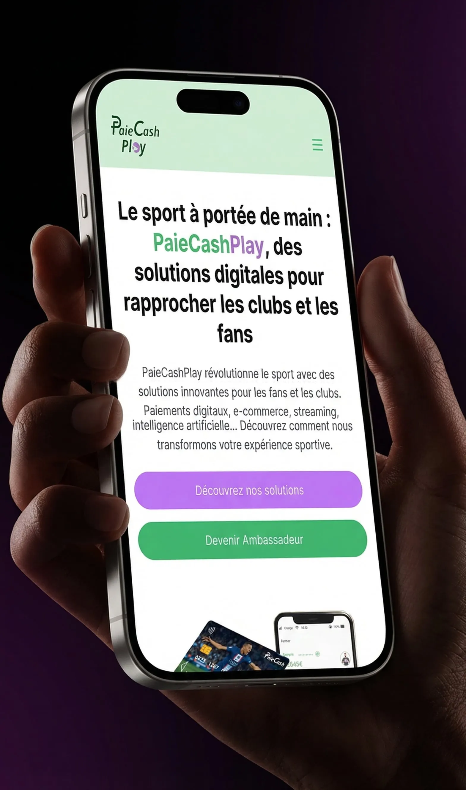 Preview of the PaieCashPlay project